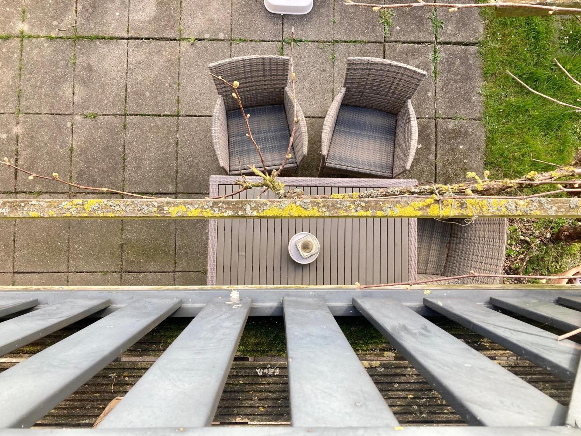 De Druif 6 Pers Holiday Home Close To The National Park Lauwersmeer Anjum エクステリア 写真